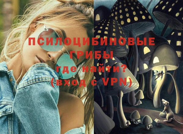 бошки Арсеньев