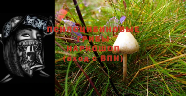 прущая мука Аркадак