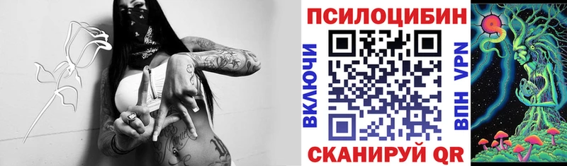 Псилоцибиновые грибы мицелий  Прохладный 